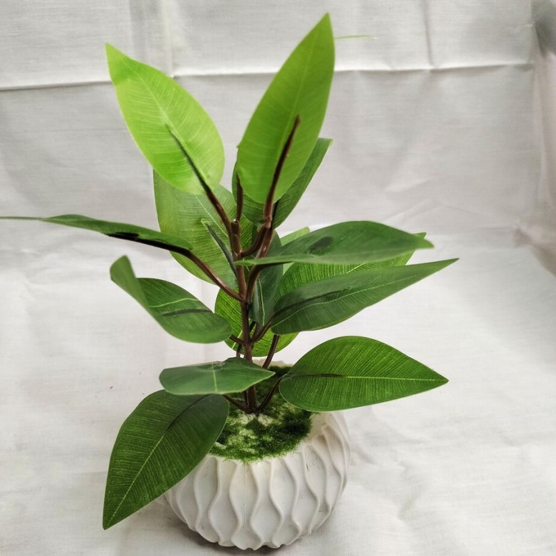 product-front