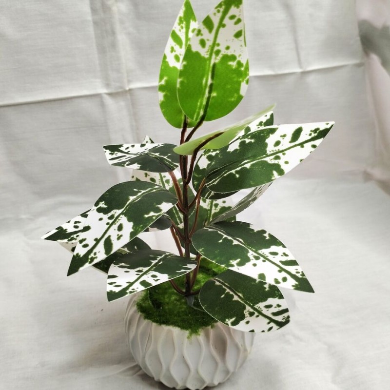 product-front