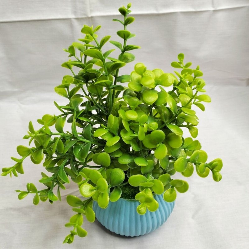 product-front